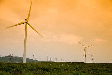 《方舟：优胜党的生存》新版上线 追加增强多项机能